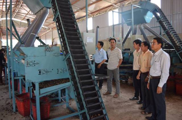 Tham quan vận hành máy tại Công ty TNHH một thành viên sản xuất thương mại Trịnh Hoàng Gia, xã Thống Nhất, huyện Bù Đăng